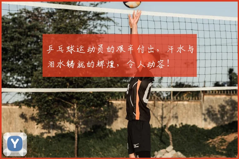 乒乓球运动员的艰辛付出,汗水与泪水铸就的辉煌,令人动容!